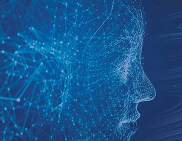 Synthetic Identity Fraud Mitigation Toolkit