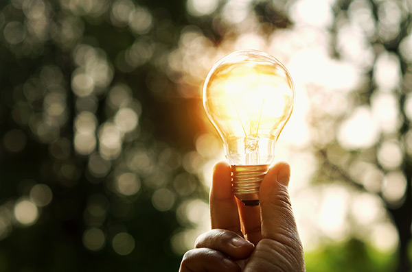 lightbulb