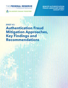 Brief #3: Authentication Fraud Mitigation Approaches, Key Findings and Recommendations PDF