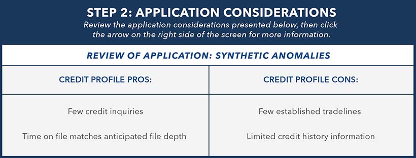 Example of application considerations for synthetic identity detection