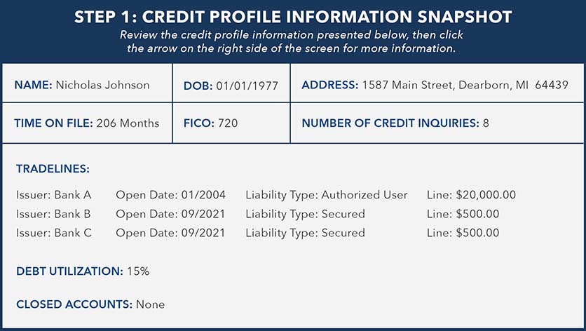 Example of credit profile information for synthetic identity detection