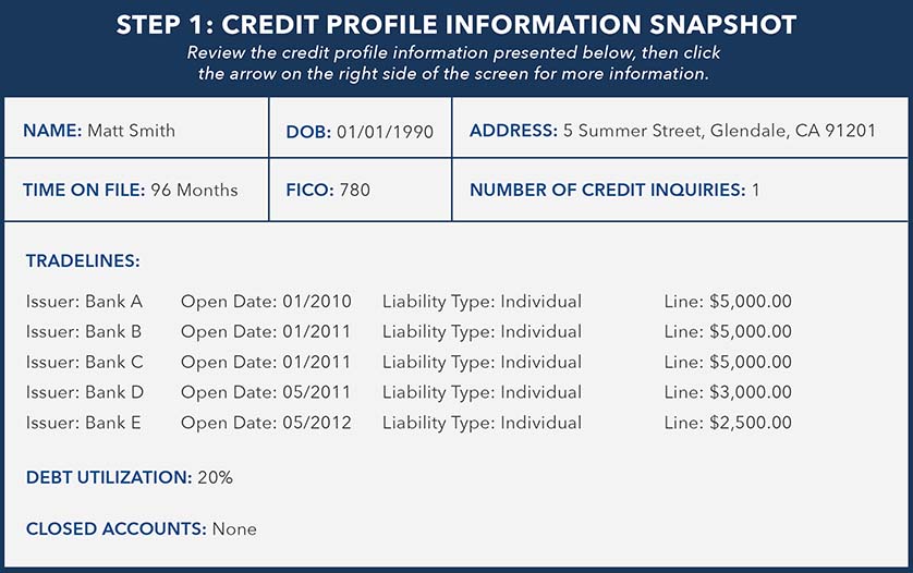 Example of credit profile information for synthetic identity detection