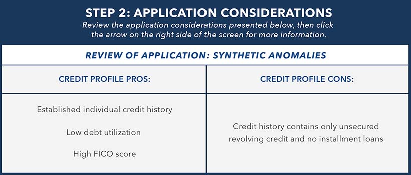 Example of application considerations for synthetic identity detection