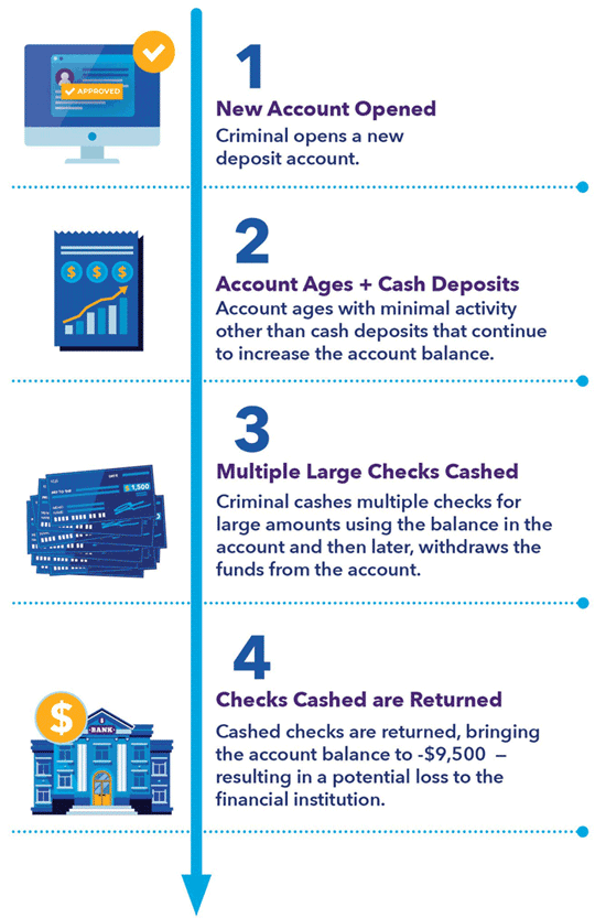 vertical-infographic-one An infographic of what criminals do with new accounts.